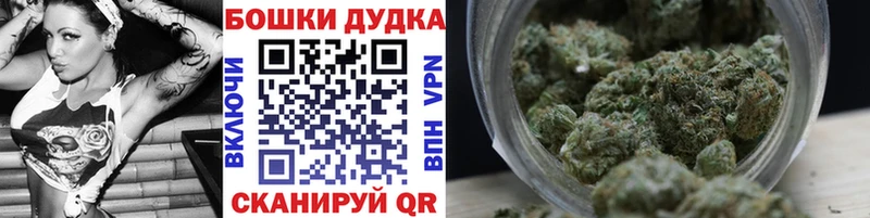 Какие есть наркотики Новочеркасск ГЕРОИН  COCAIN  A PVP  Амфетамин  Псилоцибиновые грибы  Мефедрон  ГАШИШ 