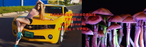 амфетамин Алексин