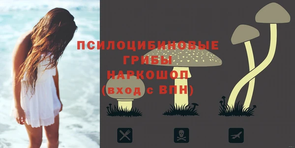 амфетамин Алексин