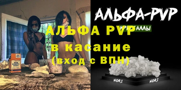 apvp Алзамай